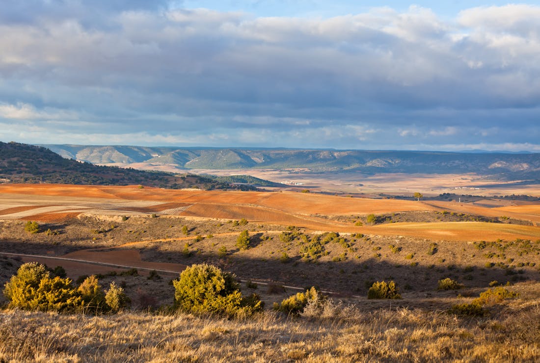 Mejores centros de cia en Ciudad Real