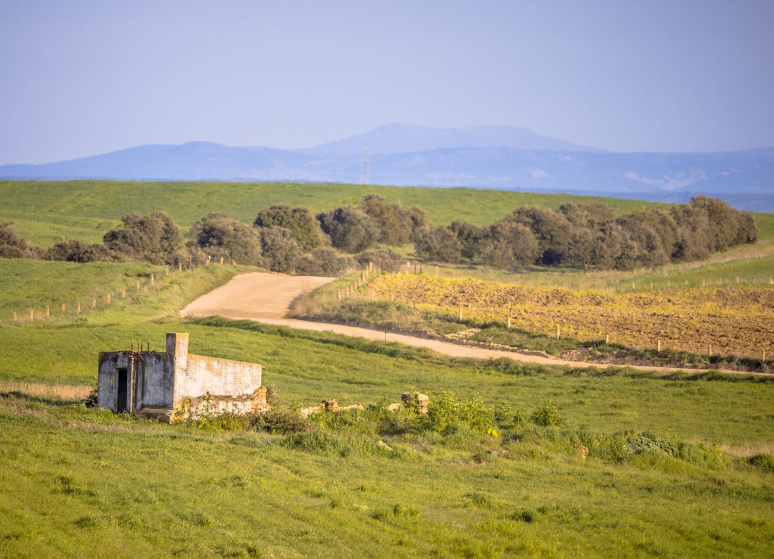 Centros de Dia Publicos en Cuenca
