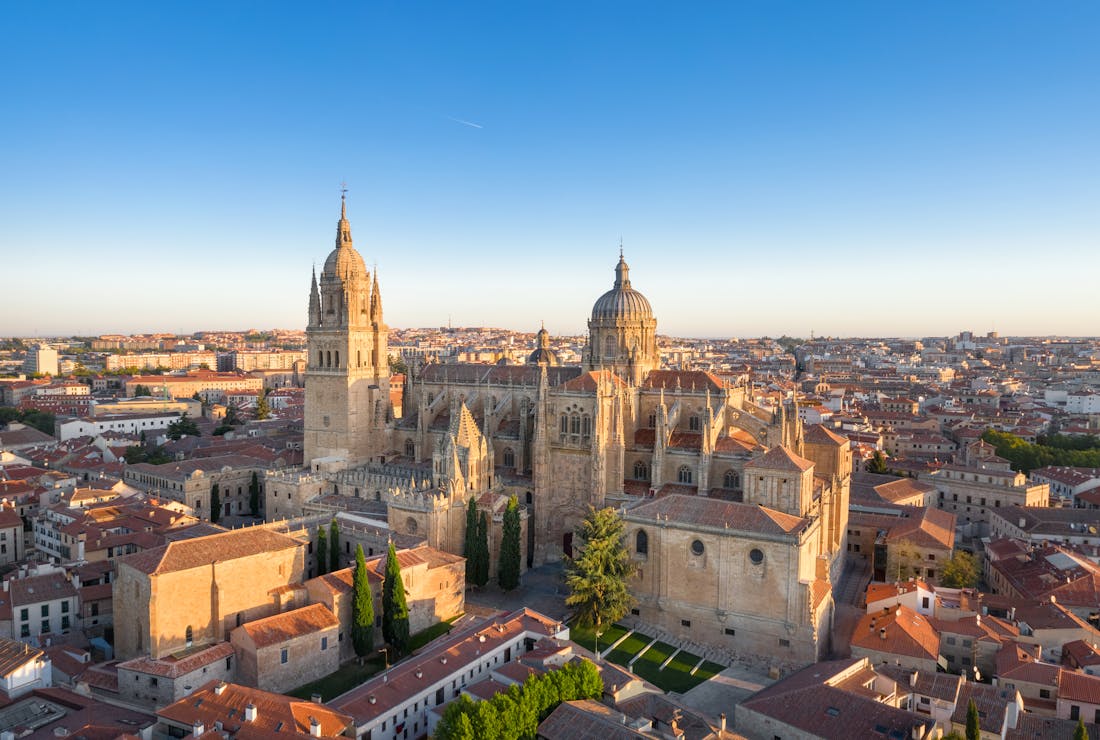 Centros de Dia Concertados en Salamanca