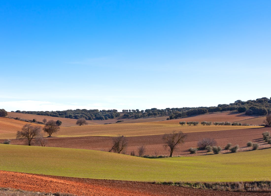 Centros de Dia Publicos en Cuenca