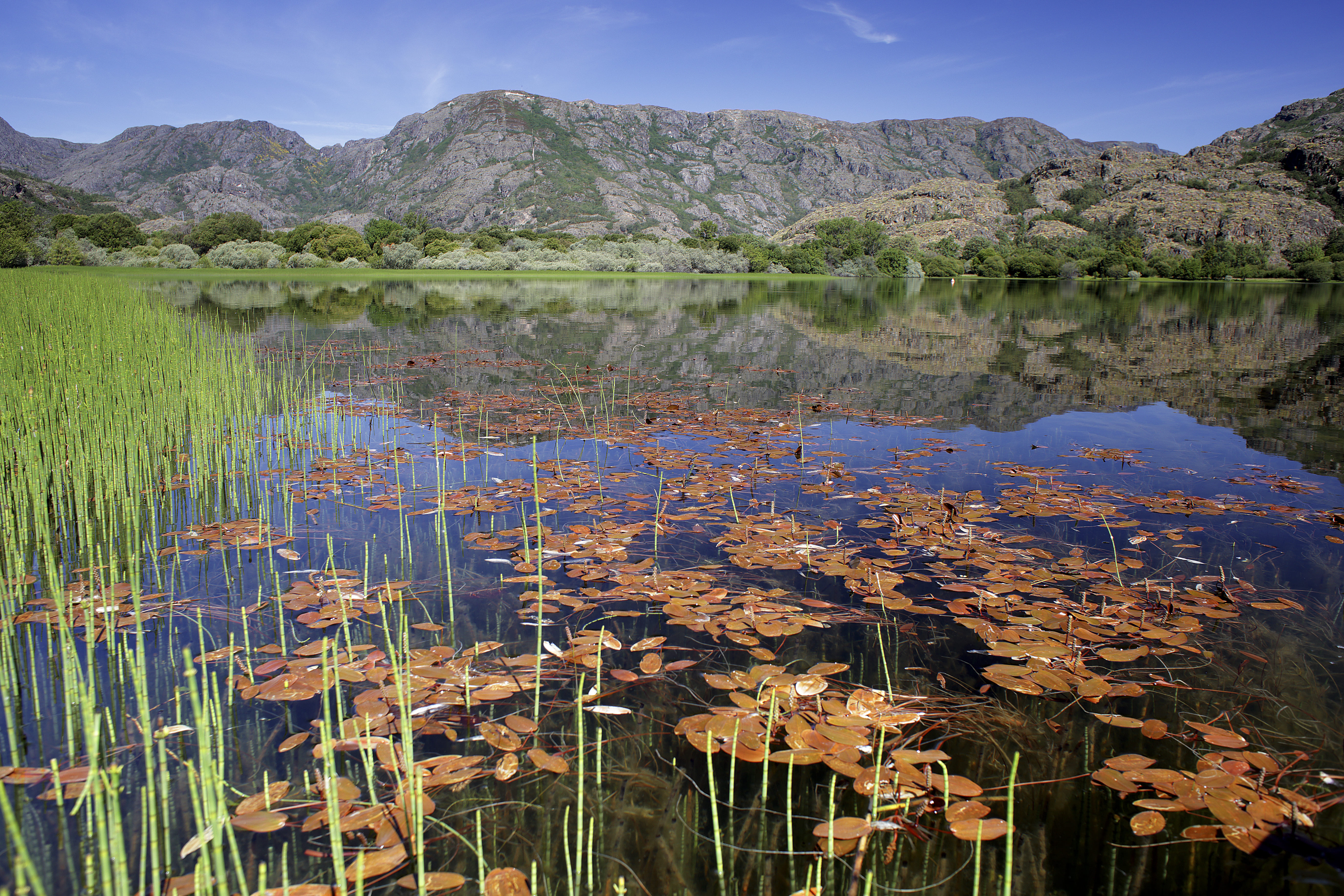 Mejores Centros de Dia en Zamora