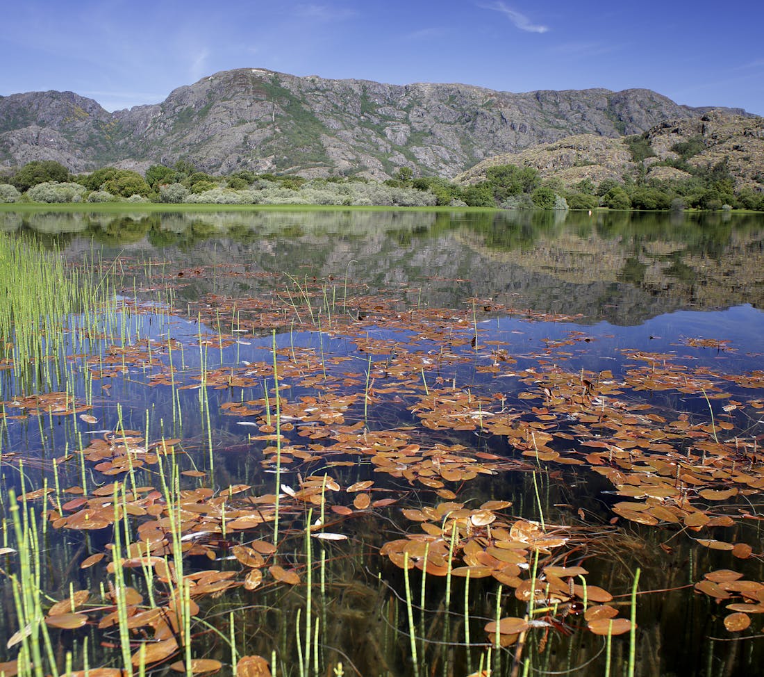 Mejores Centros de Dia en Zamora