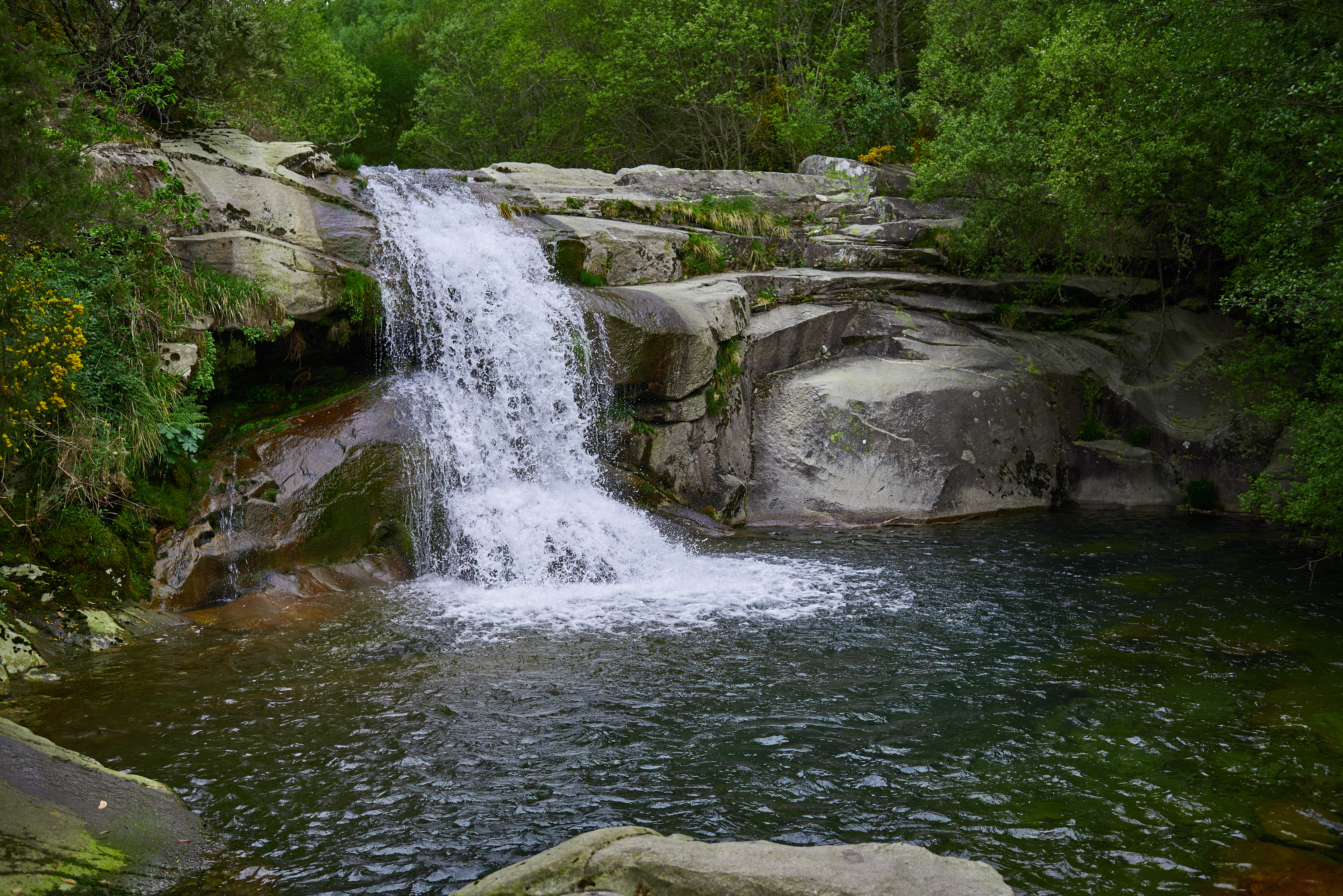 Centros de Dia Concertados en Ourense