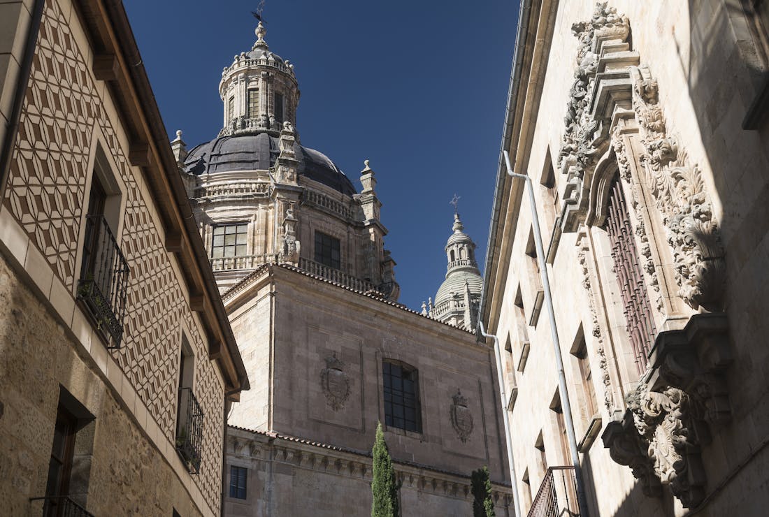 Centros de Dia Publicos en Salamanca
