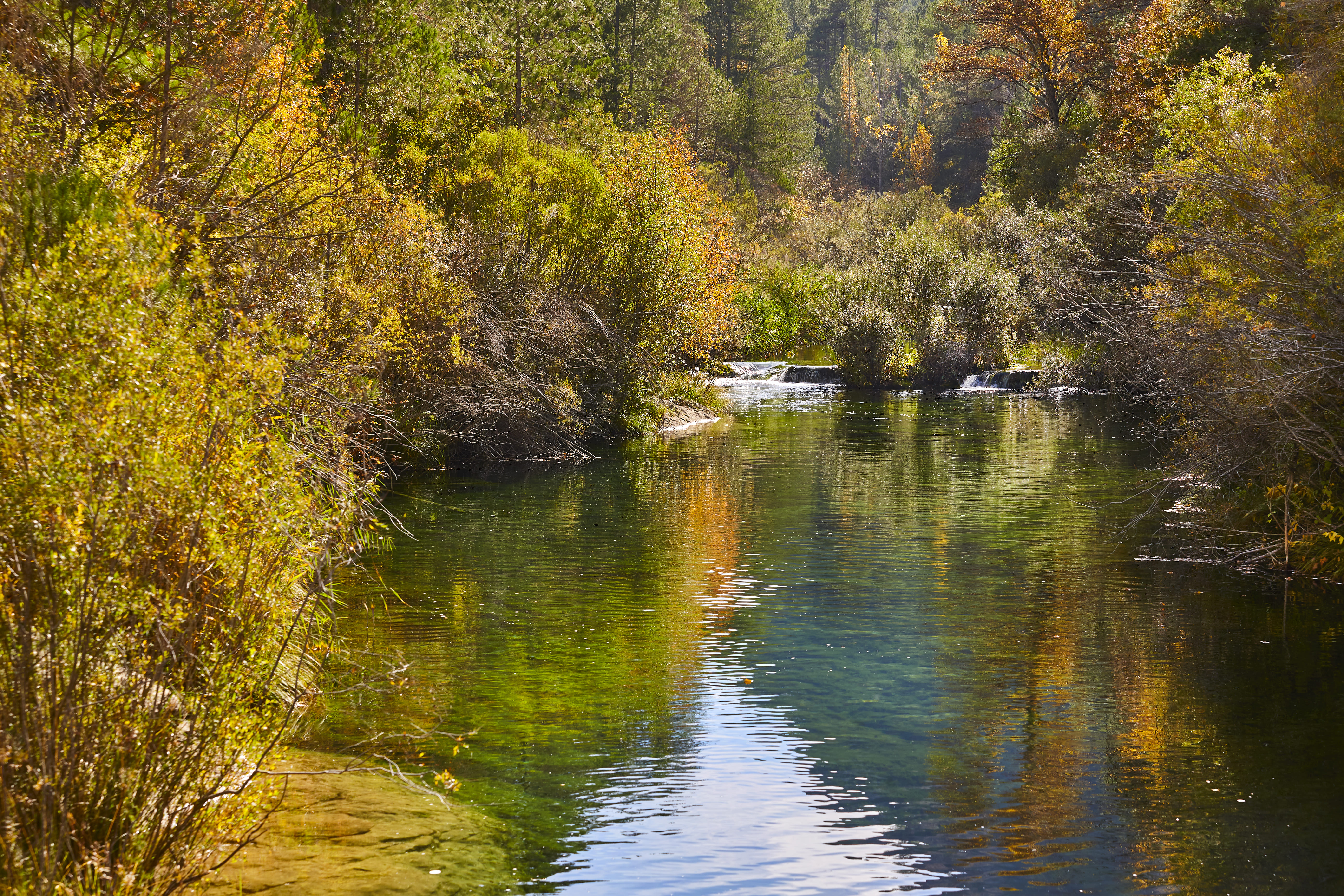 Centros de Dia Publicos en Guadalajara
