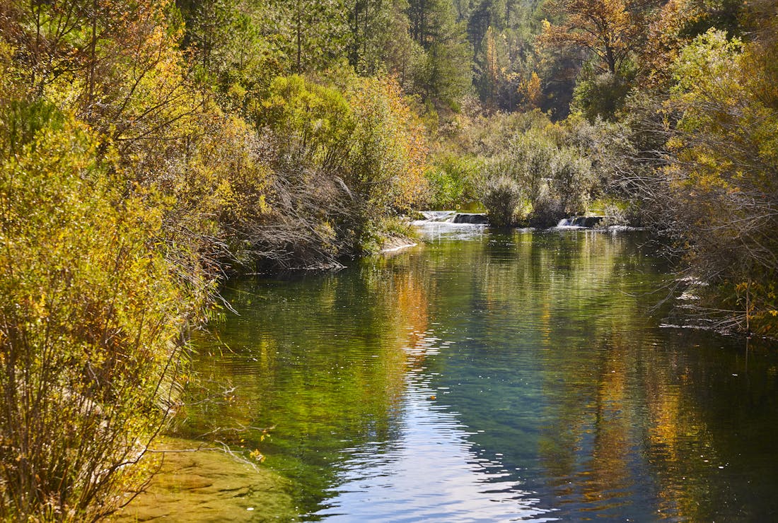 Centros de Dia Publicos en Guadalajara