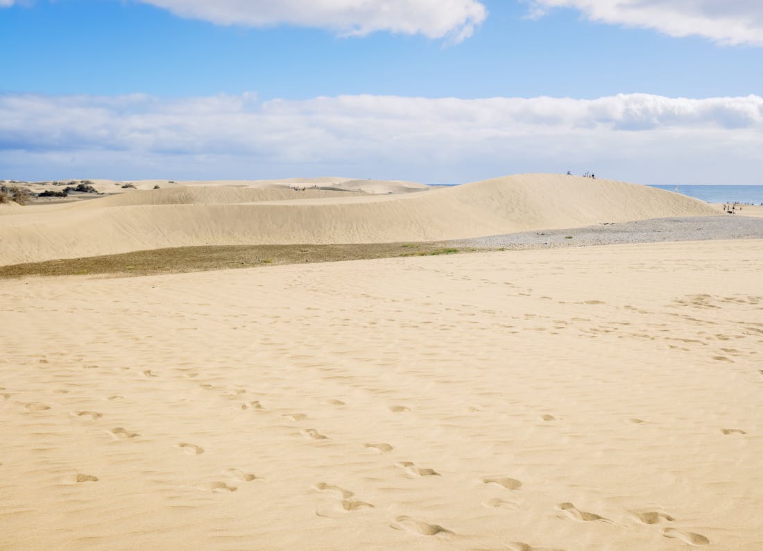 Centros de Dia Publicos en Las Palmas