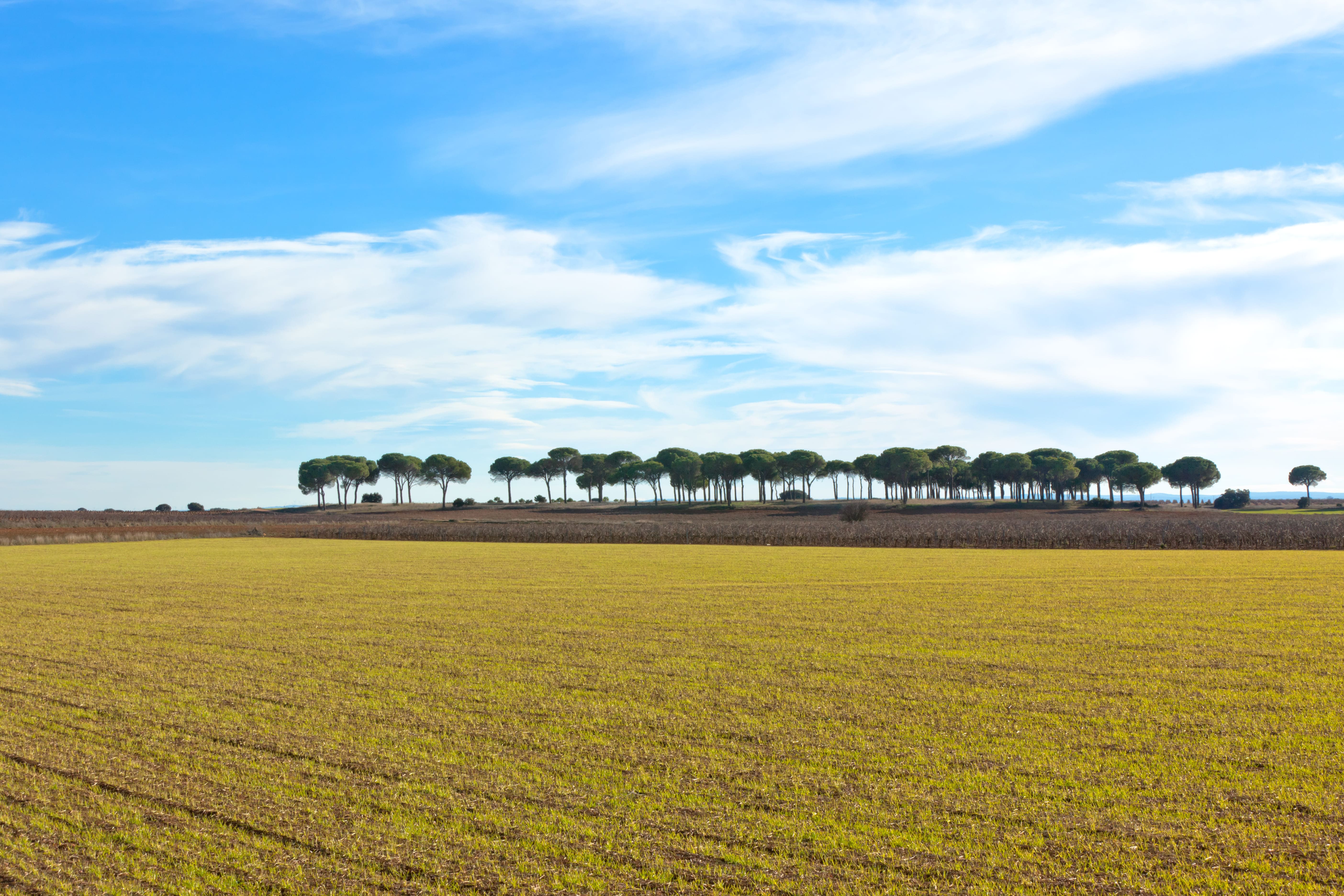 Centros de dia publicos en Ciudad Real