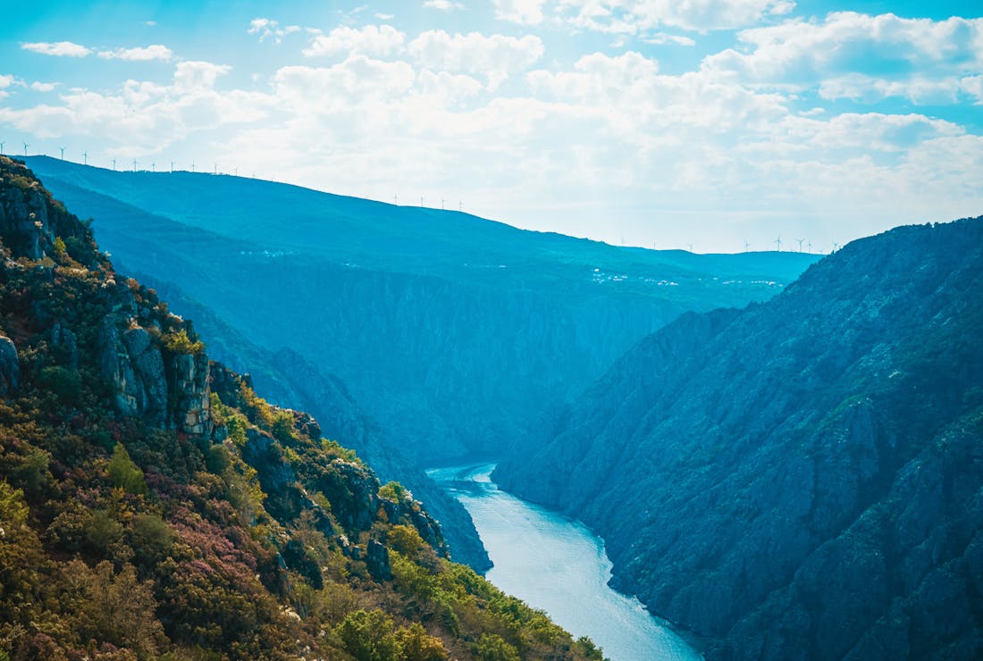 Mejores Centros de Dia en Ourense