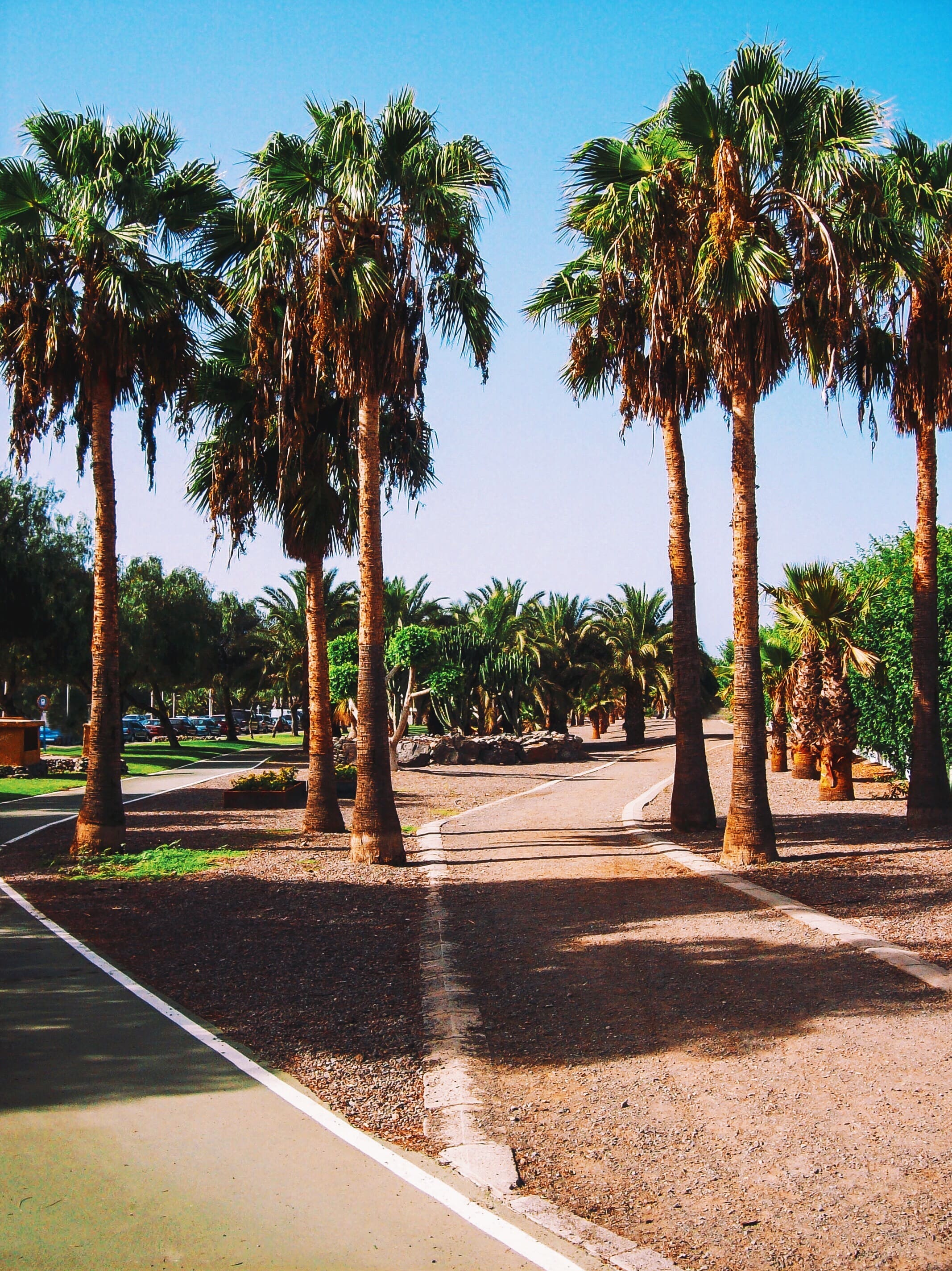 Centros de Dia Concertados en Las Palmas