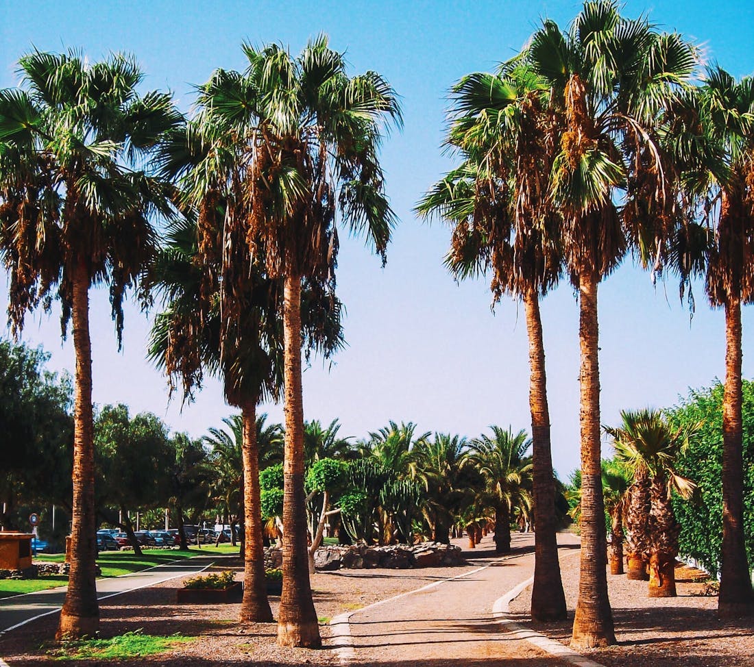 Centros de Dia Concertados en Las Palmas
