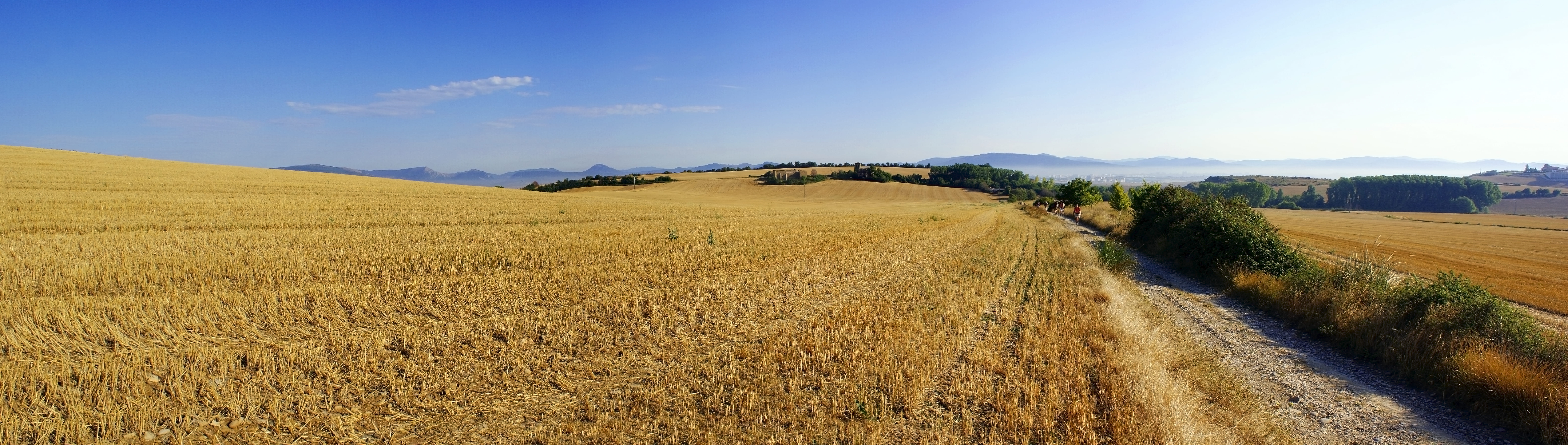 Centros de Dia Concertados en Navarra
