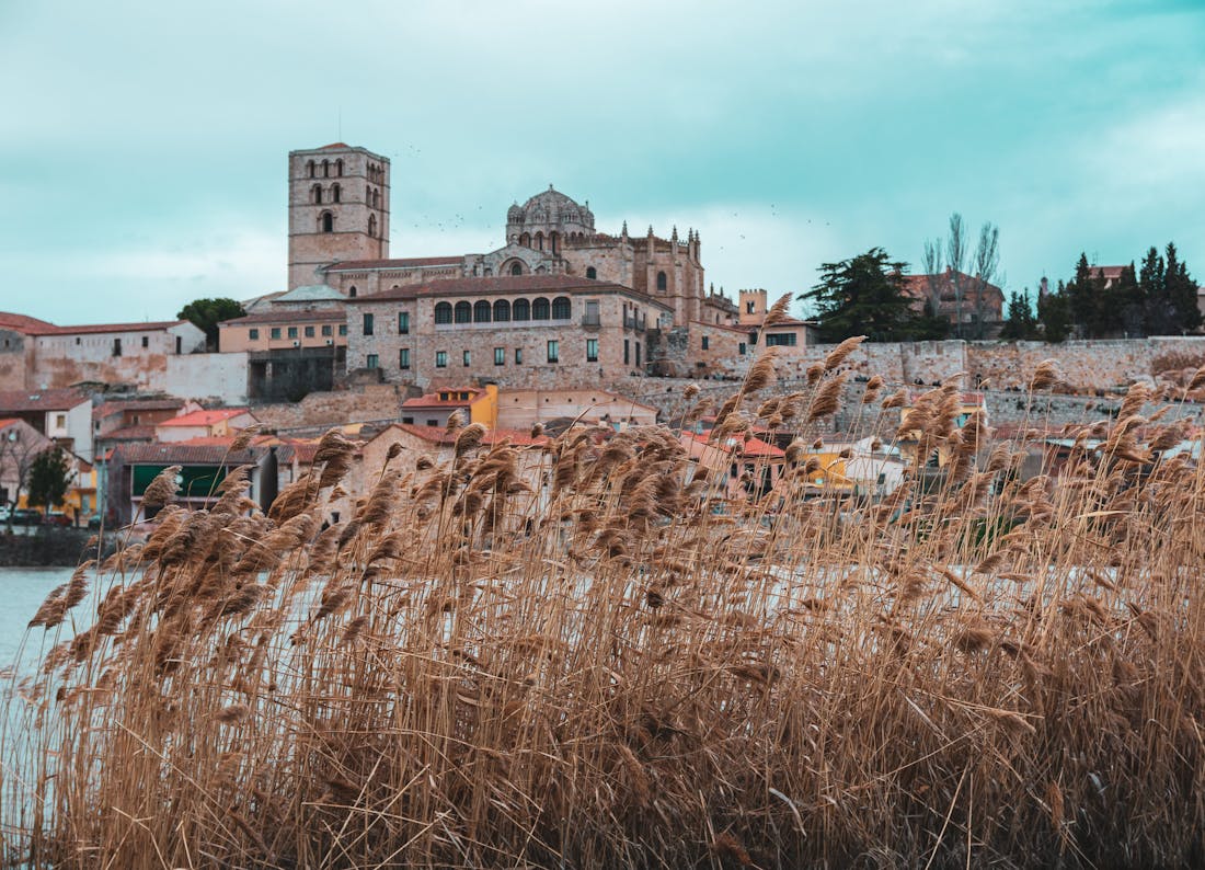 Centros de Dia Publicos en Zamora