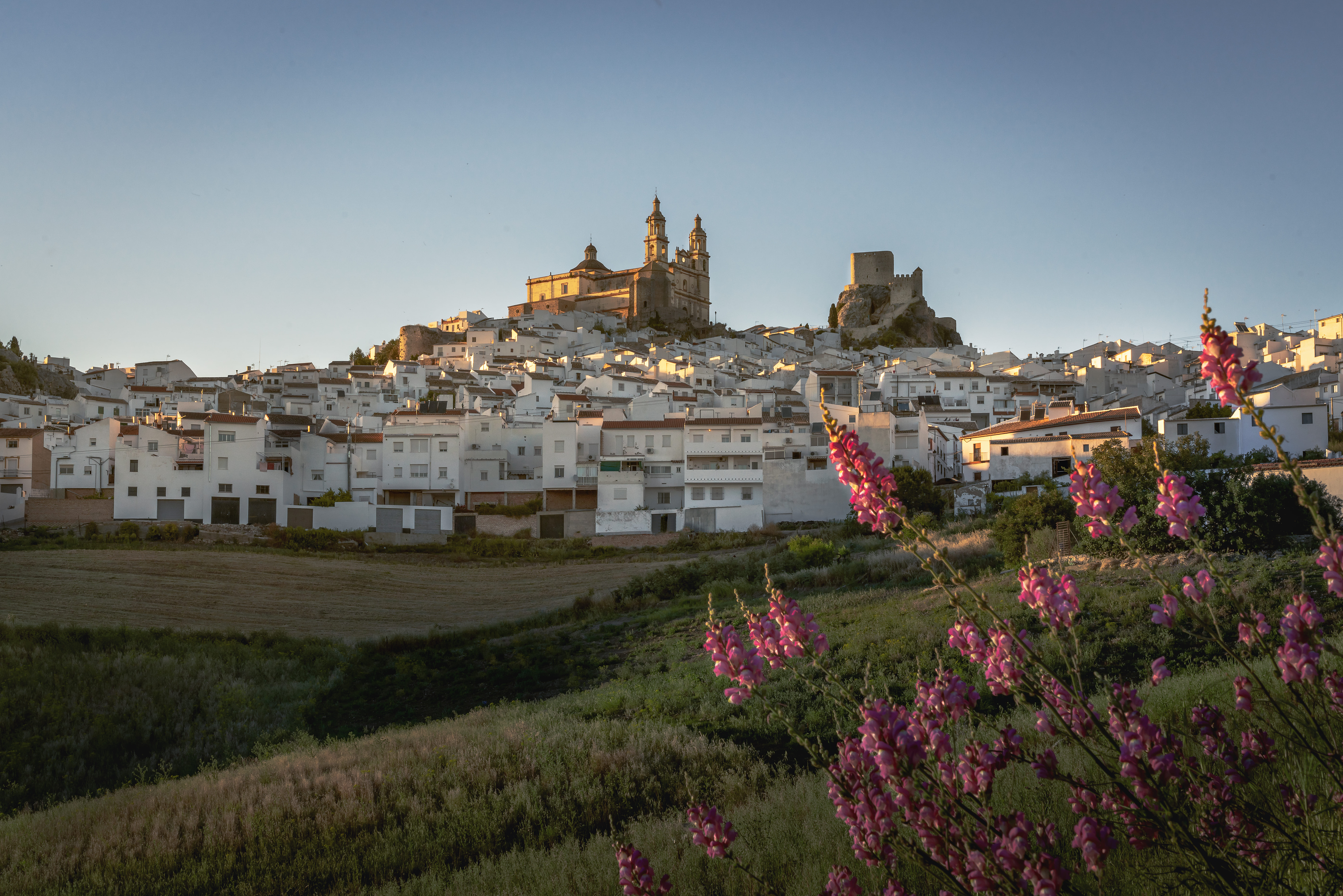 Centros de Dia Concertados en Cadiz