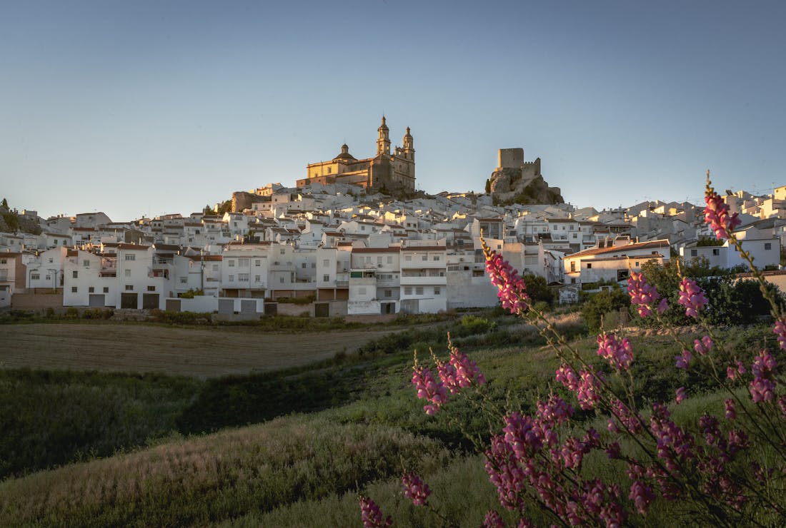 Centros de Dia Concertados en Cadiz