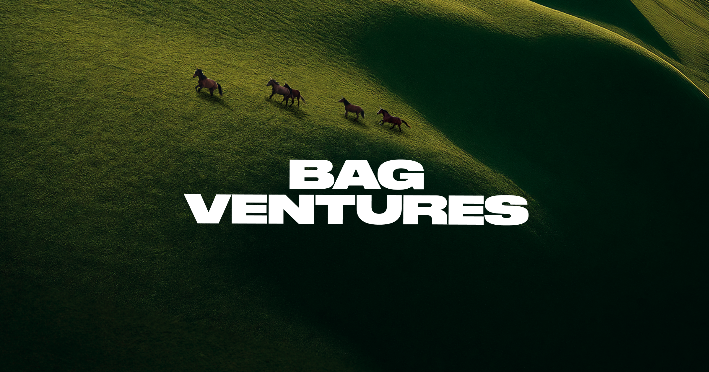 BAG Ventures photo