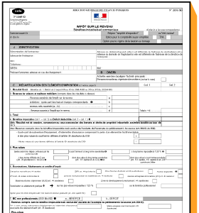 Formulaire 2031 (Cerfa N°11085*24) | Comment Le Remplir