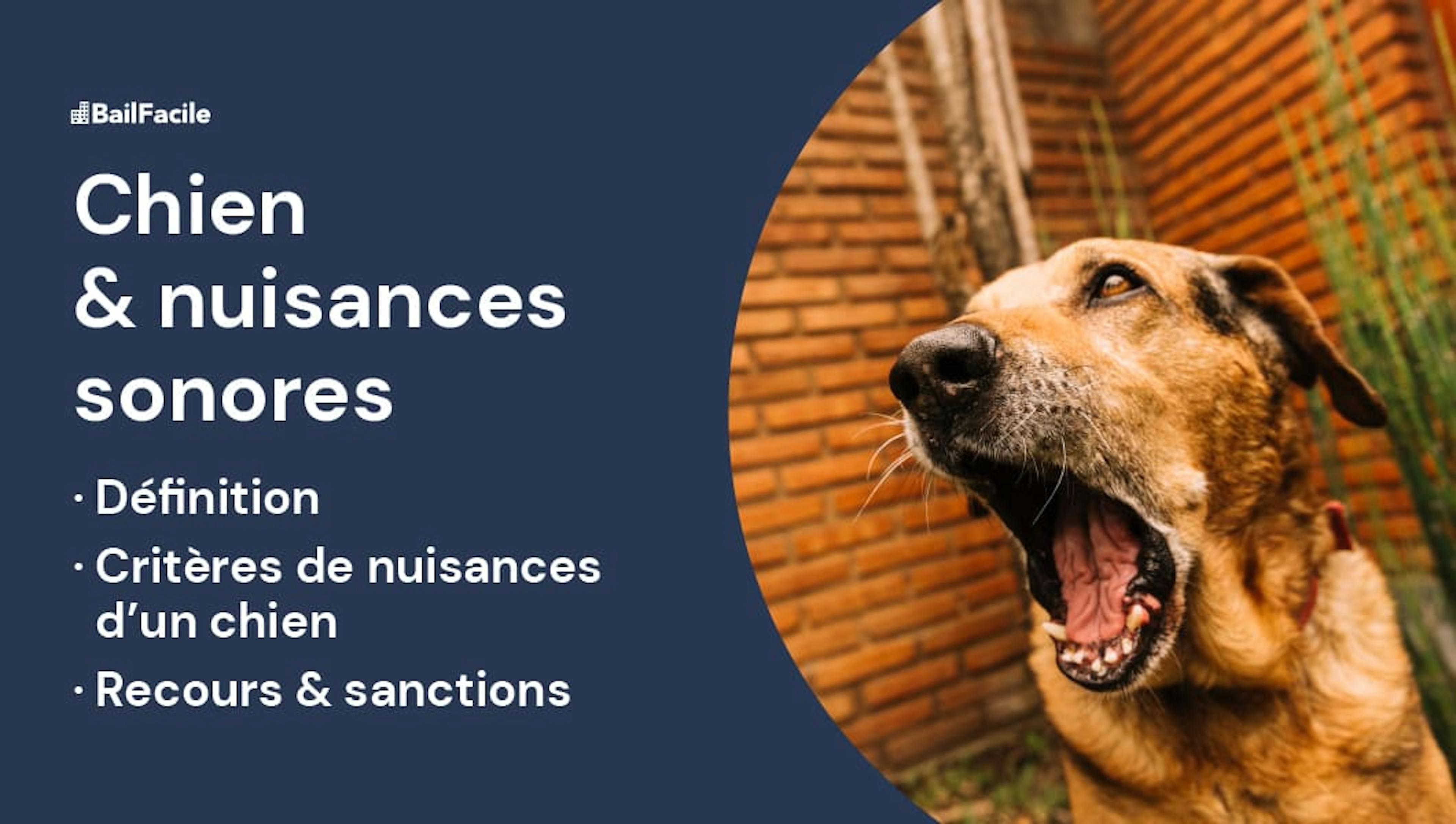 Nuisances sonores chien