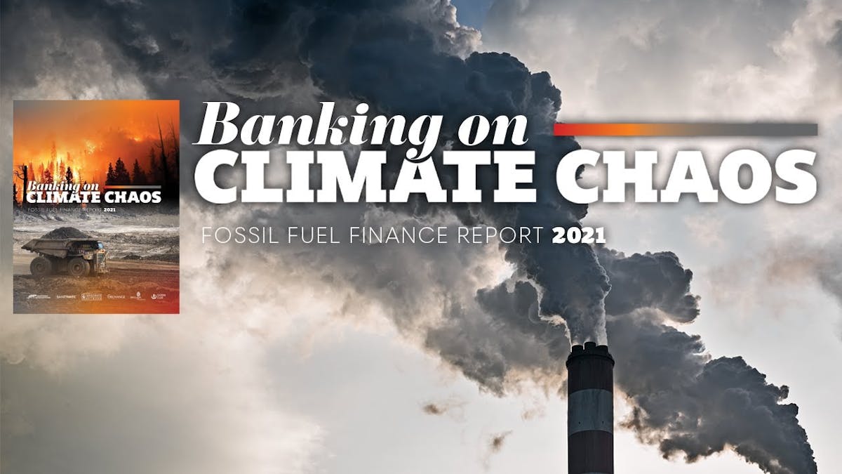 Rainforest Action Network Banking on Climate Chaos