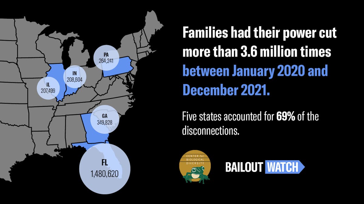 Graphic of a map of the eastern United States, with Pennsylvania, Indiana, Illinois, Georgia, and Florida highlighted with text that says "Families had their power cut more than 3.6 million times between January 2020 and December 2021. Five states accounted for 69% of the disconnections."