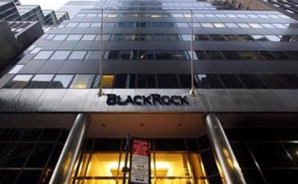 BlackRock, which has promised to consider sustainability in its investments, said AB Volvo was not adequately disclosing climate risk