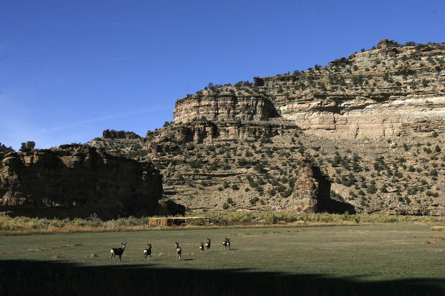 Utah's Book Cliffs have been leased out for oil and gas projects.