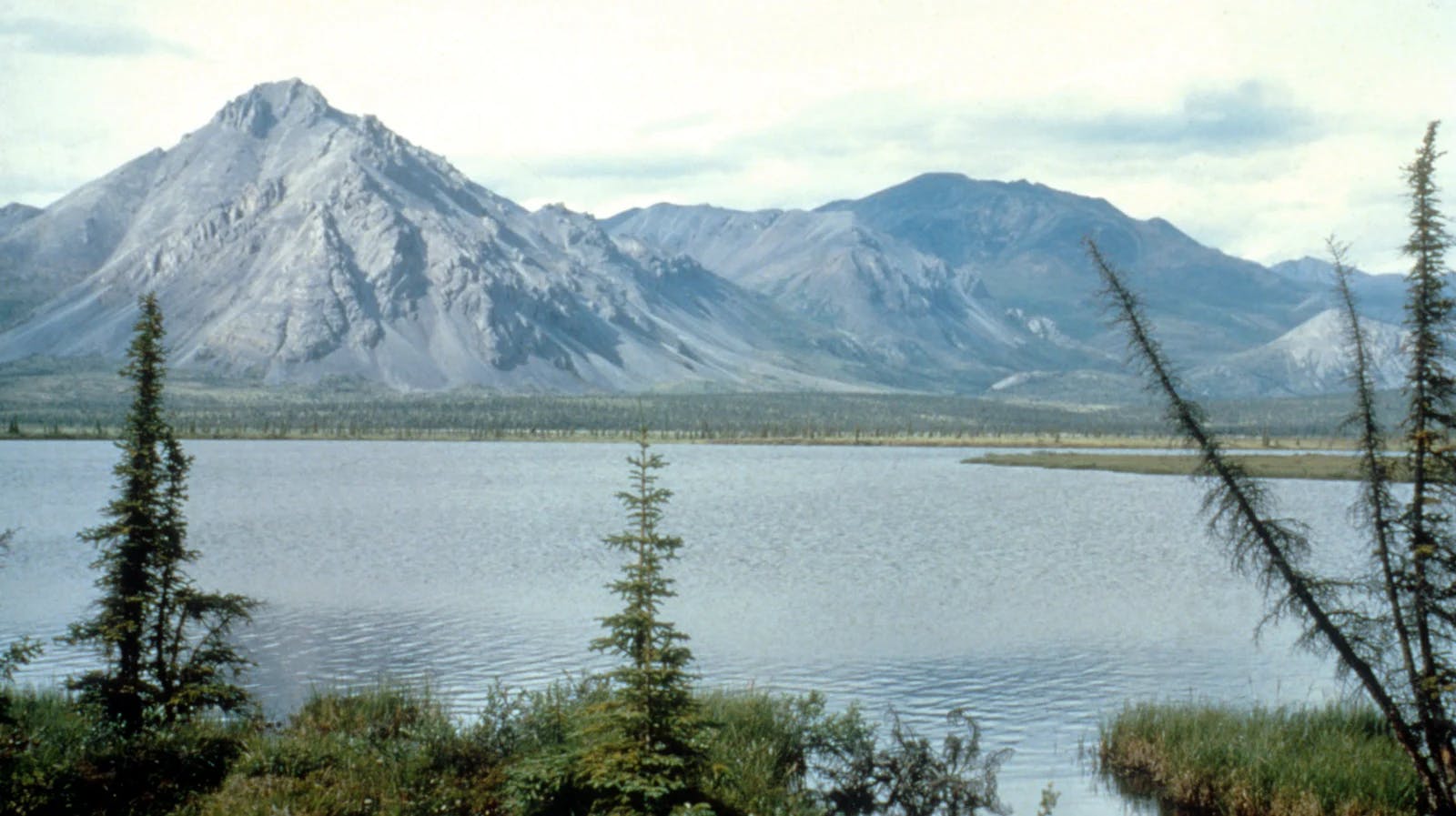 Arctic National Wildlife Refuge