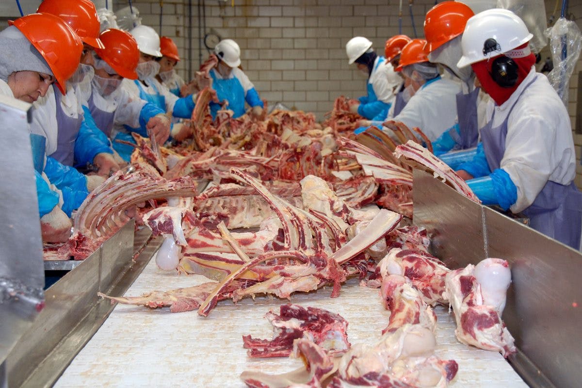 Meatpacking plant workers