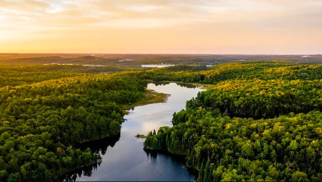 A river winds through a forest at sunset.