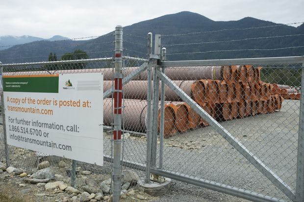 Pipes for the Trans Mountain expansion project 