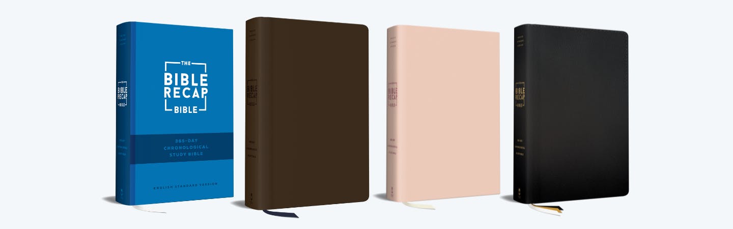 All variants of the Bible Recap ESB Bible.