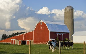 Bongards Creameries lands $81 million NMTC allocation for expansion
