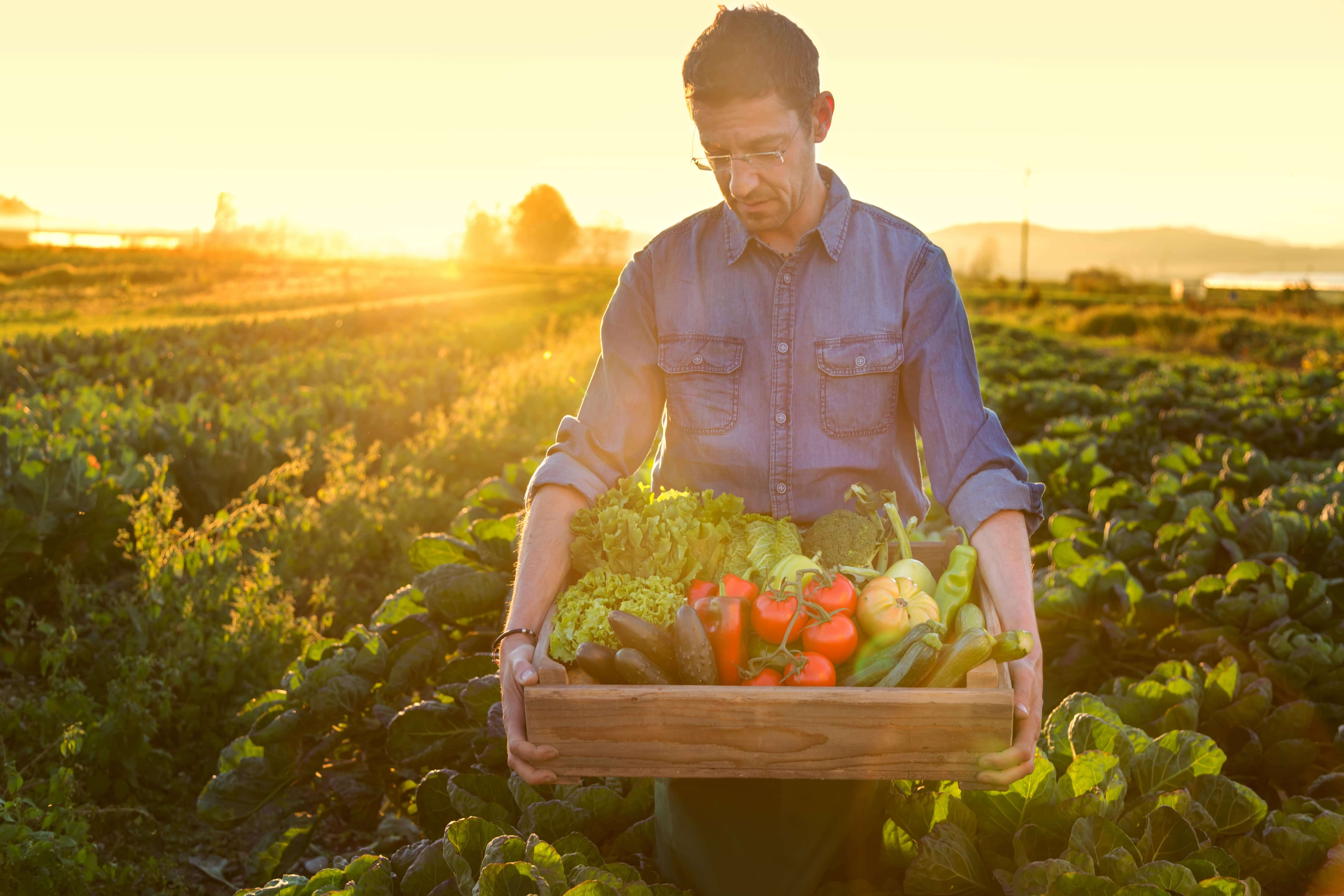 Food & Beverage Industry Consulting Baker Tilly Baker Tilly