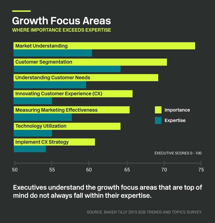 Executives understand that the marketing, sales and service functions support the growth of the organization.

While these areas are top of mind for them, they do not always fall within their expertise. Our consultants help companies evaluate those functions, identify/address the gaps across critical growth functions and provide solutions to sustain organic growth.