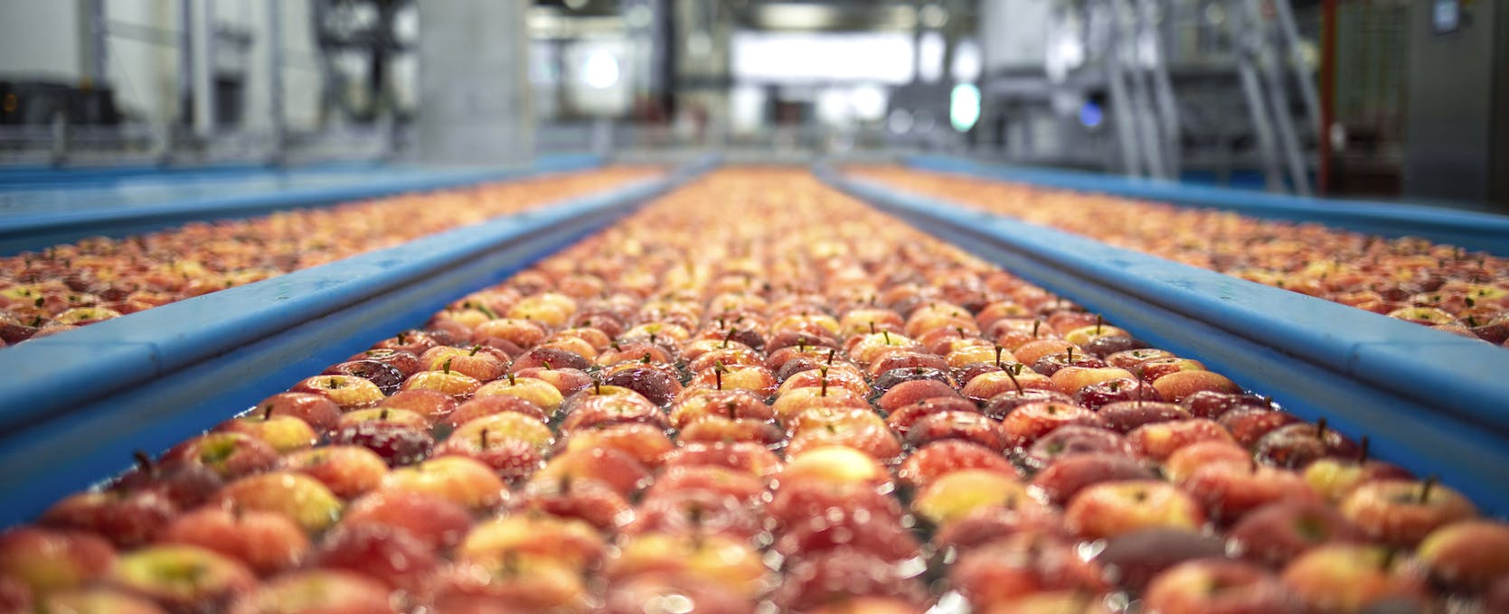Apples in factory