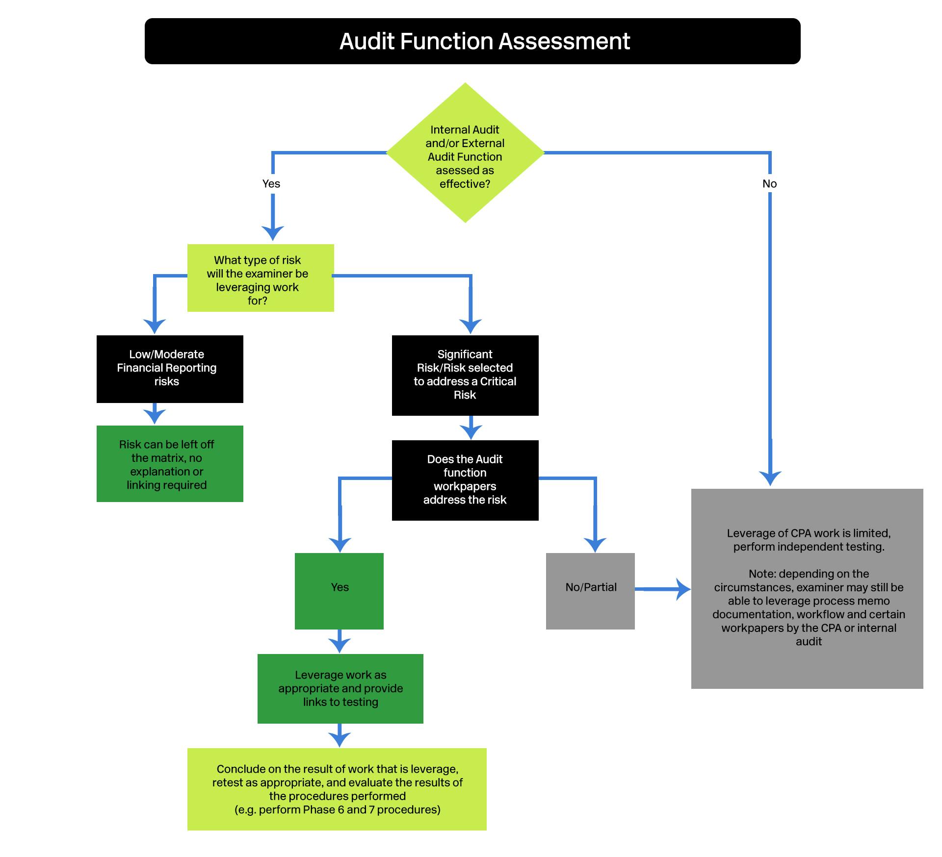 audit function assessment
