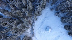 aerial view of forest in the snow