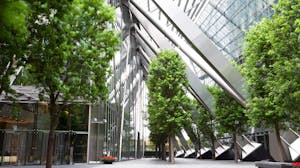 Office building courtyard with trees