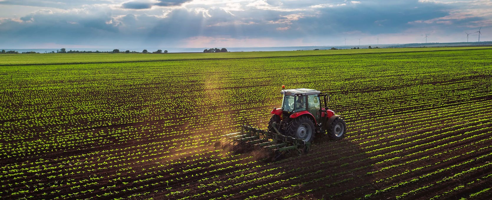 Tractor cultivating field at the heart of the agribusiness industry