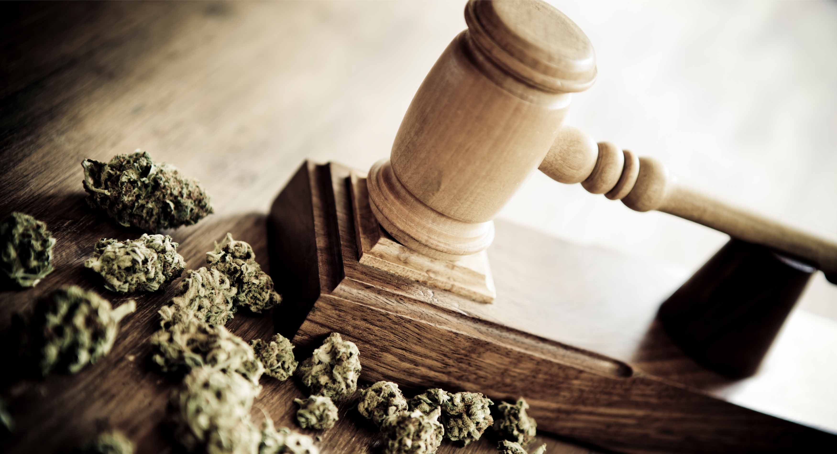 cannabis on table with judge gavel 
