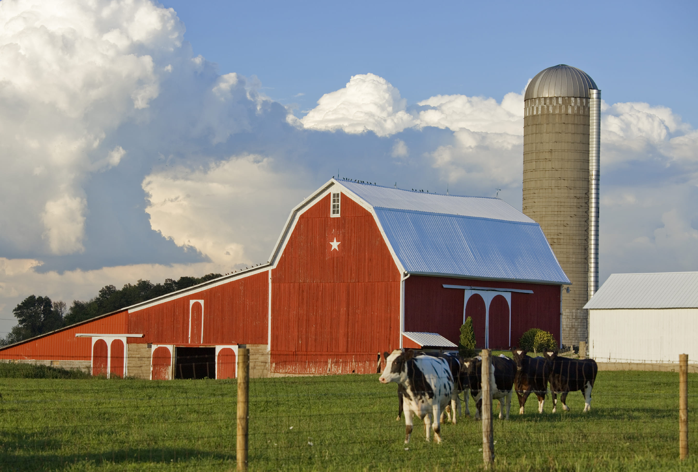 Bongards Creameries lands 81 million NMTC allocation for expansion Baker Tilly