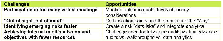 Agility and internal audit do more with less - challenges and opportunities