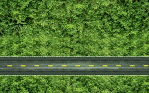 Navigating the ESG nine-lane highway: A roadmap for public sector entities