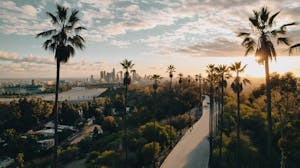 Palm tree-lined street overlooking Los Angeles at sunset