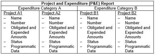 American Rescue Plan reporting Project and Expenditure Report