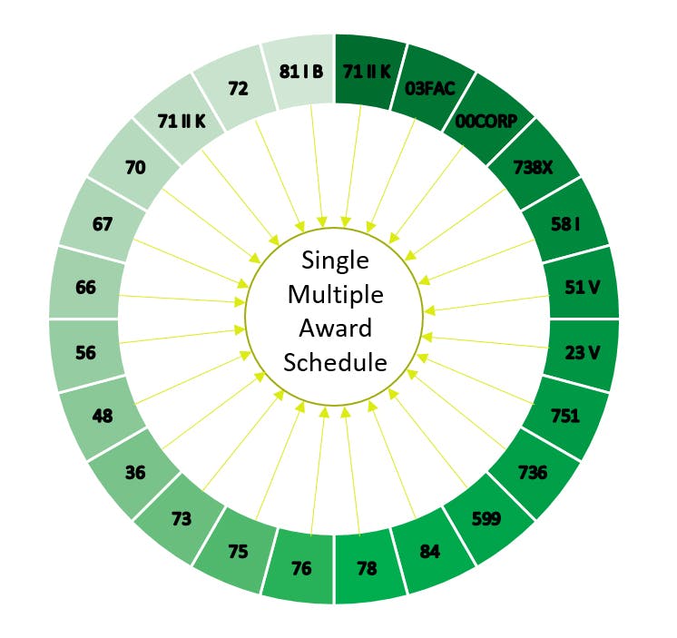 Single multiple award schedule