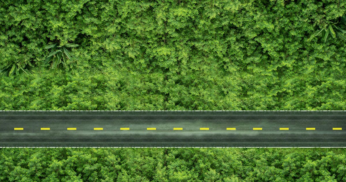 Aerial view of a highway cutting through tree lines | ESG regulations Aerial view of a highway cutting through tree lines | ESG regulations