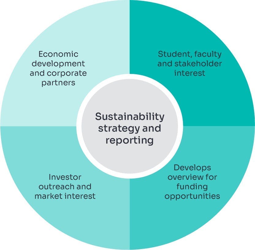 Higher education sustainability strategy and reporting