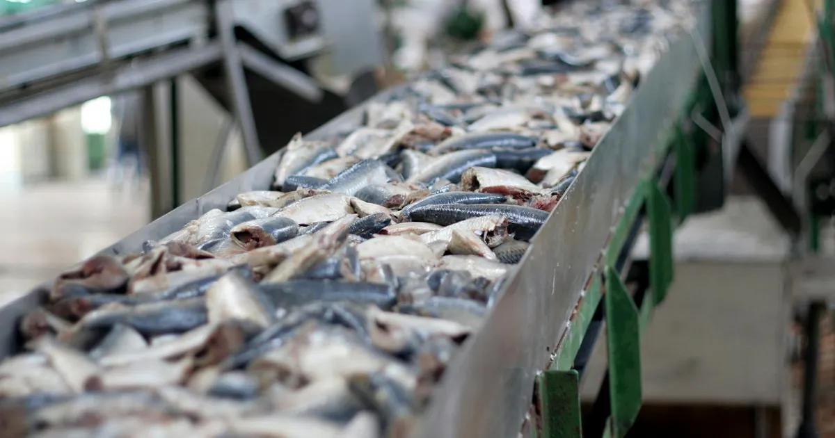 Fish Distributor Seafood distributor streamlines inventory and operational controls ...