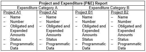 American Rescue Plan reporting Project and Expenditure Report